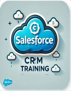 SalesForce Training in Vijayawada